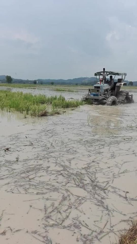 TikTok video thumbnail by johnutara
