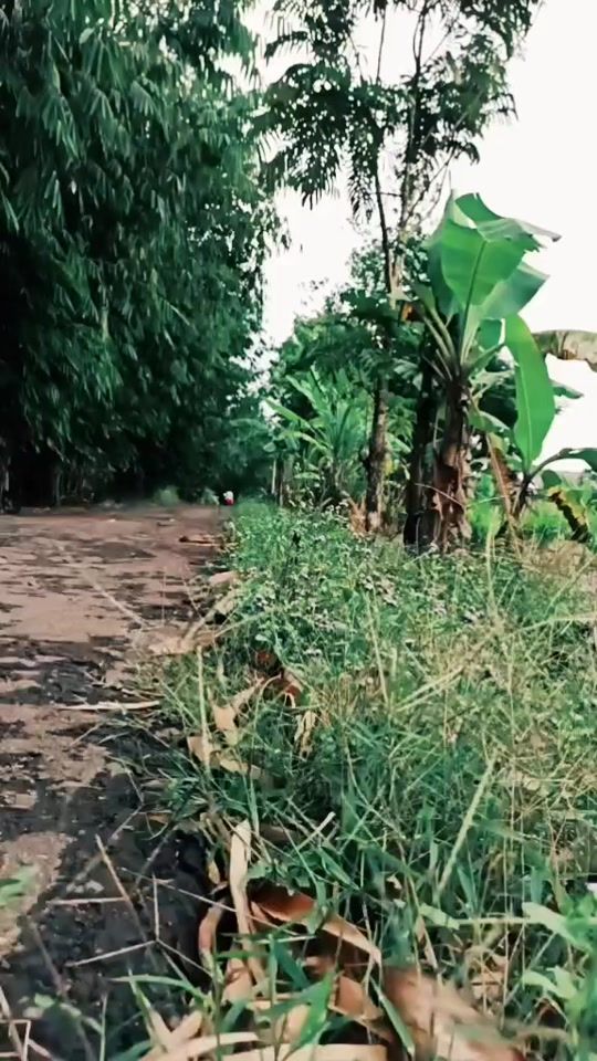 TikTok video thumbnail by camellastore