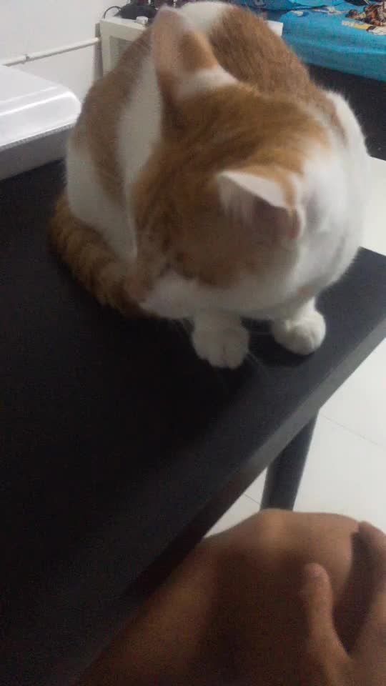 TikTok video thumbnail by s_sam