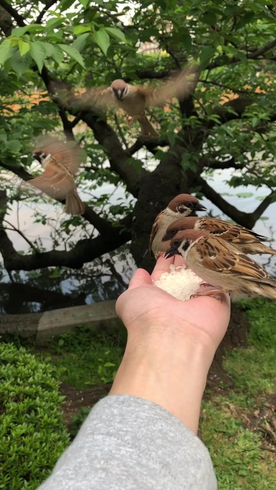 TikTok video thumbnail by aisu0115