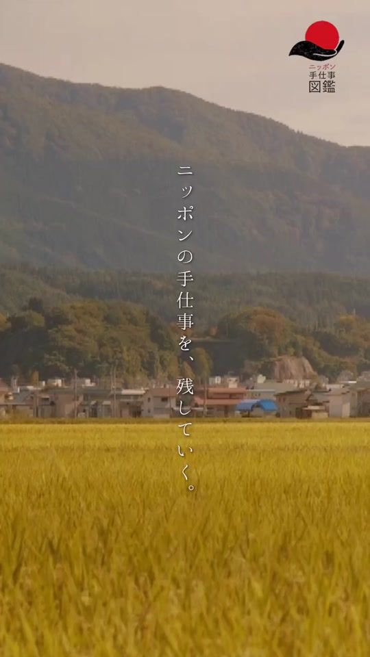 TikTok video thumbnail by teshigotozukan