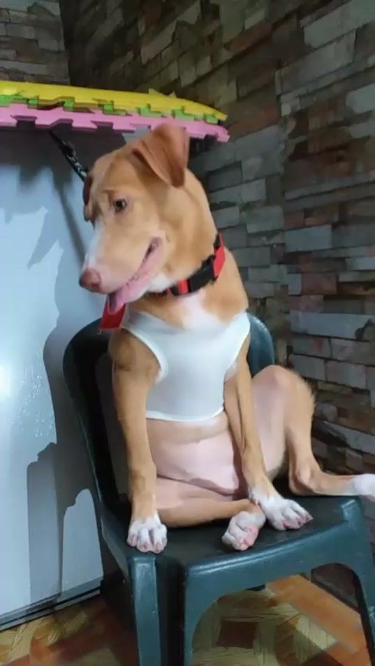 TikTok video thumbnail by mabelle_monbeau_kycia
