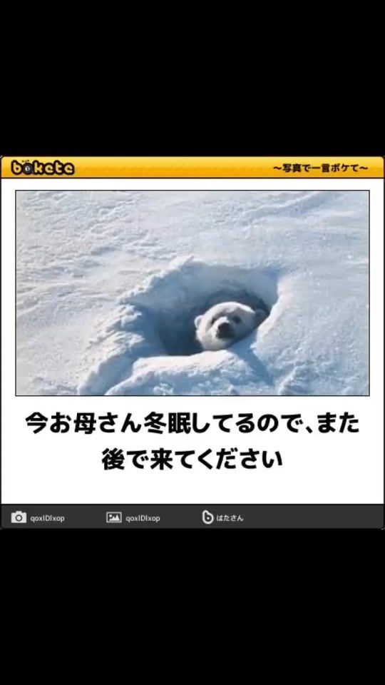 TikTok video thumbnail by yuskeito