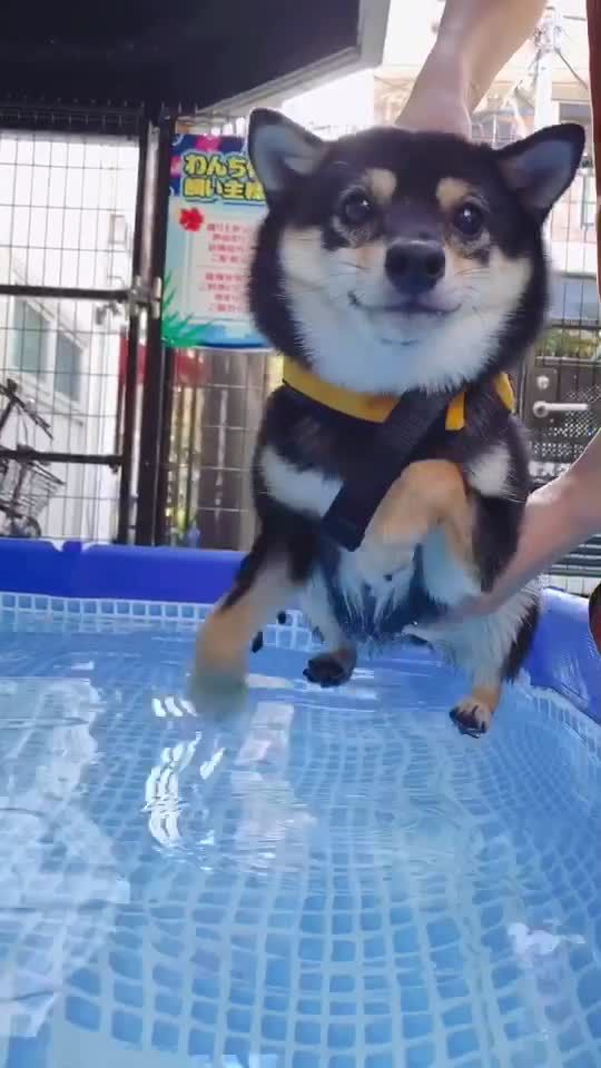 TikTok video thumbnail by yorokonemo