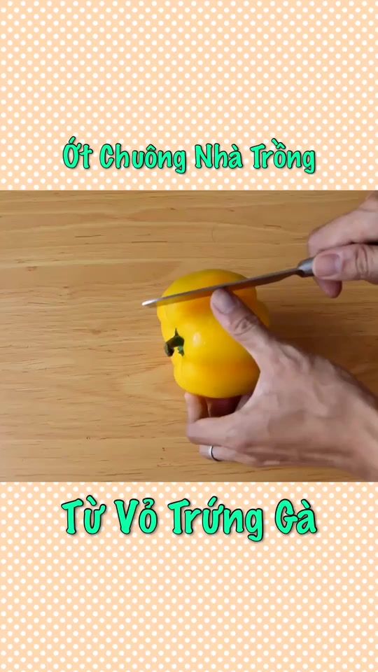 TikTok video thumbnail by bacthaybikip