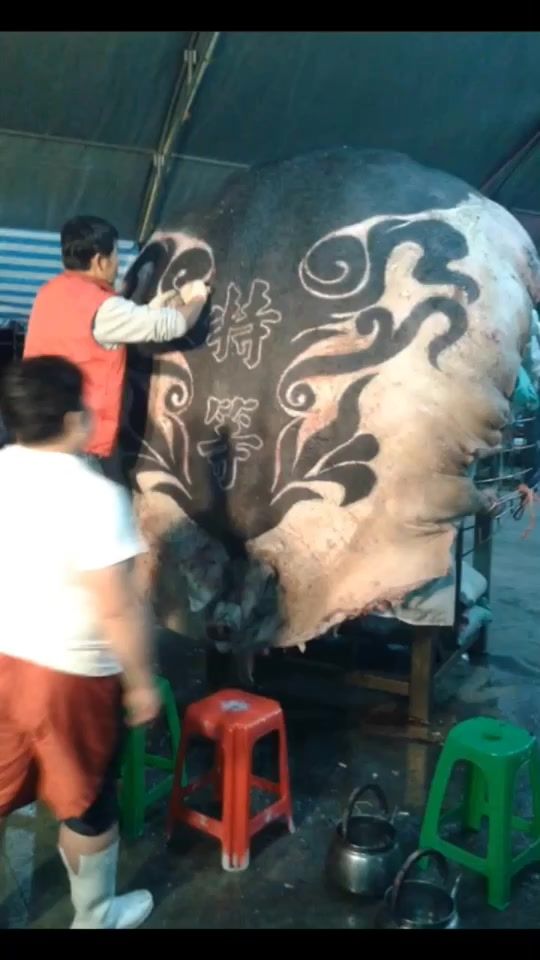 TikTok video thumbnail by as122530