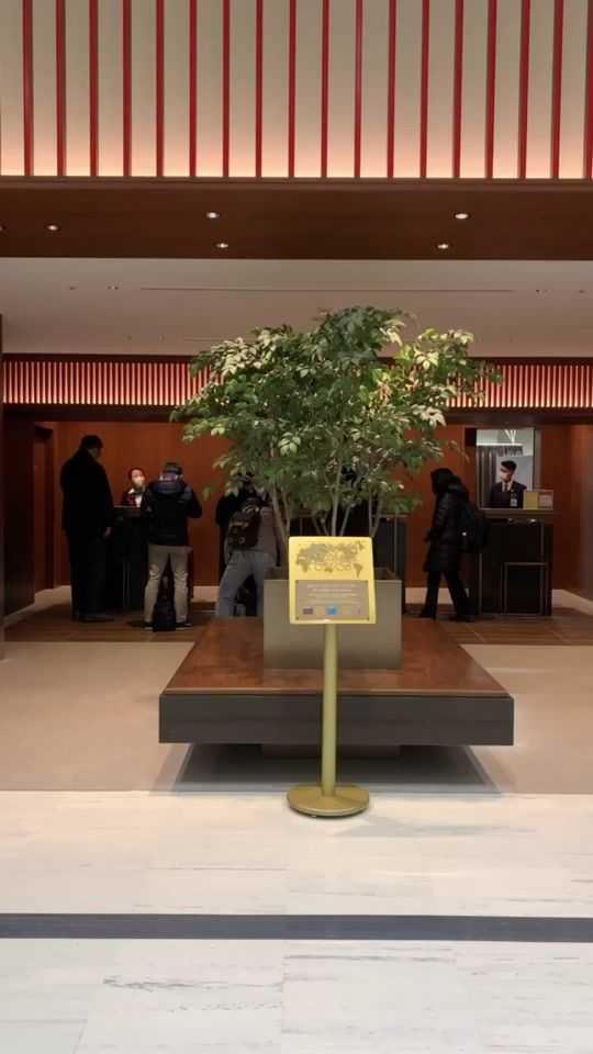 TikTok video thumbnail by 808_alohastate