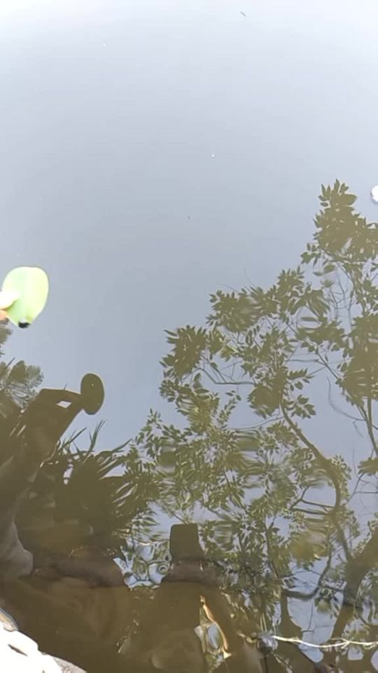 TikTok video thumbnail by taataa1301
