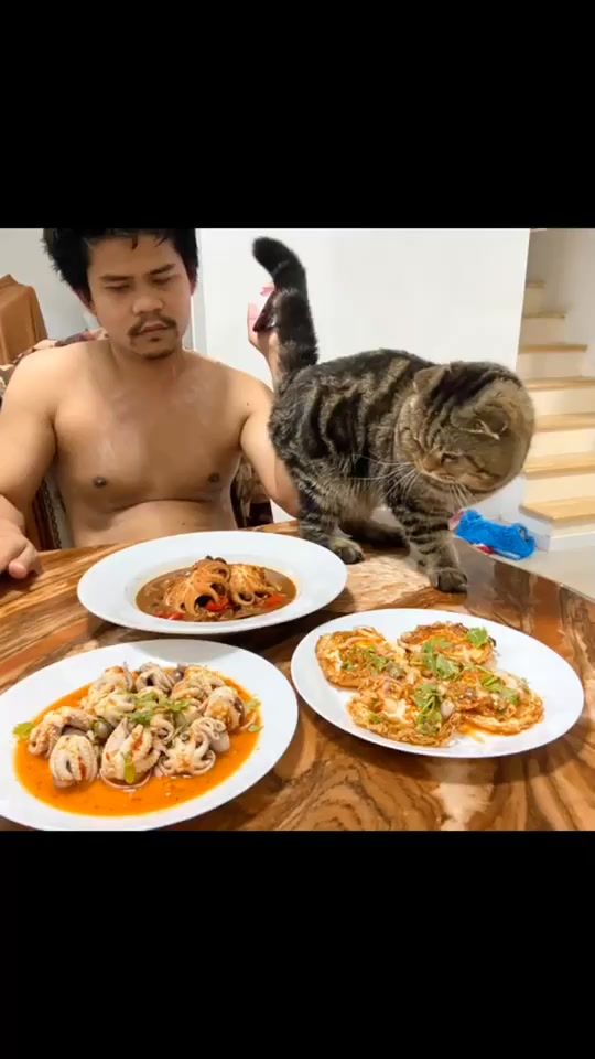 TikTok video thumbnail by nasrin_555