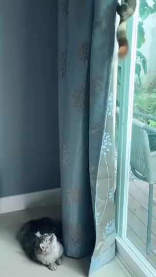 TikTok video thumbnail by maw_kumi