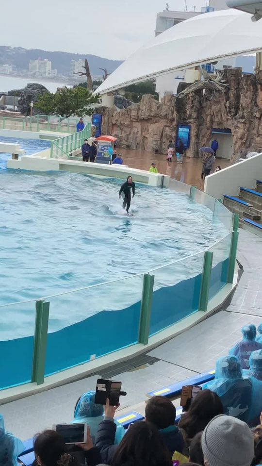 TikTok video thumbnail by aikgr