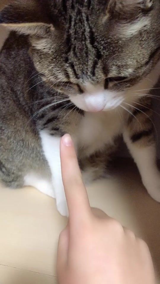 TikTok video thumbnail by pipipi_02