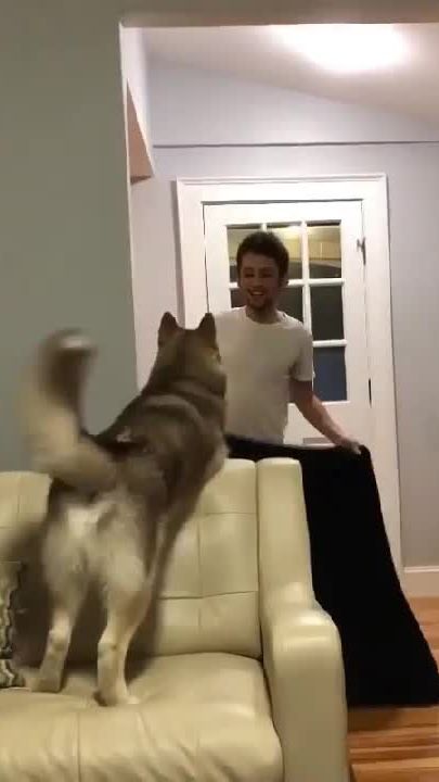 TikTok video thumbnail by trungcut.4