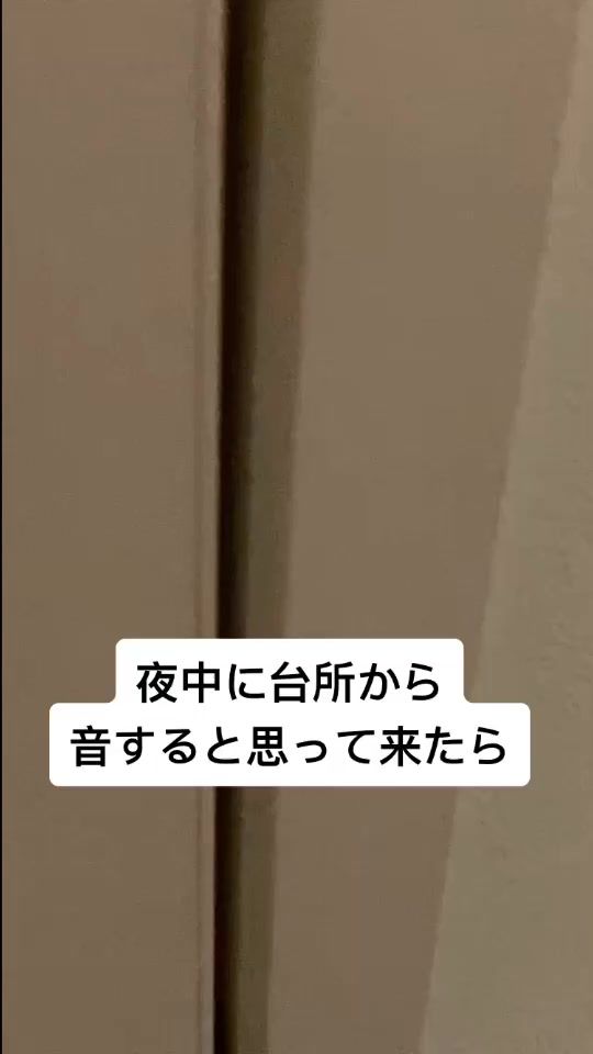 TikTok video thumbnail by hasuki_shikakenin