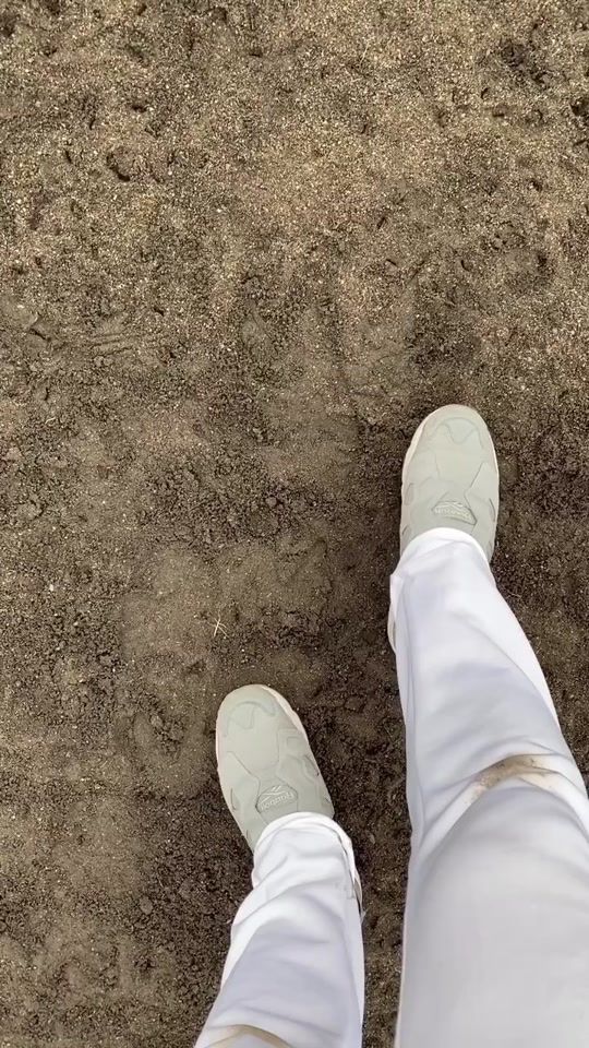 TikTok video thumbnail by qoonin0818