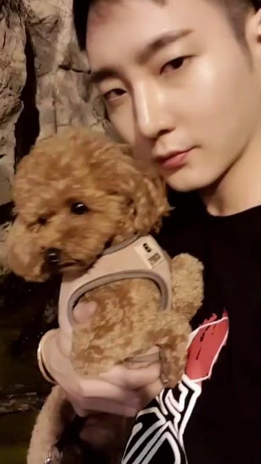 TikTok video thumbnail by cccckck