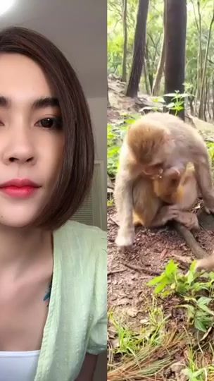 TikTok video thumbnail by itontoey4