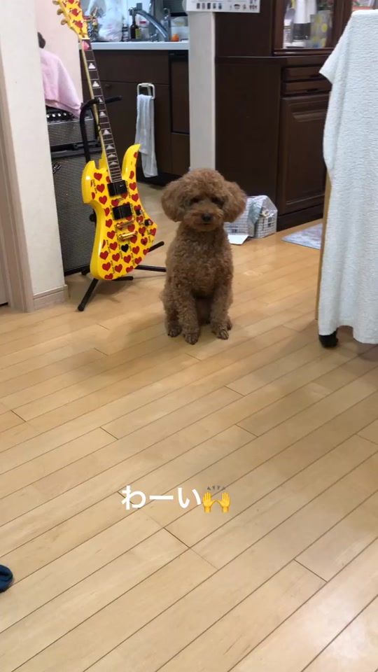 TikTok video thumbnail by bonbonpapa