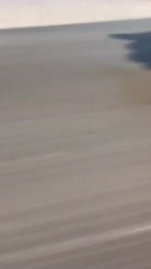 TikTok video thumbnail by flinelife__amz