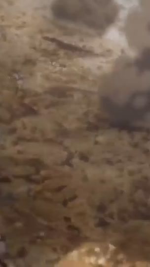 TikTok video thumbnail by karimu_omusubi